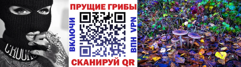 Галлюциногенные грибы Psilocybe  наркота  Льгов 